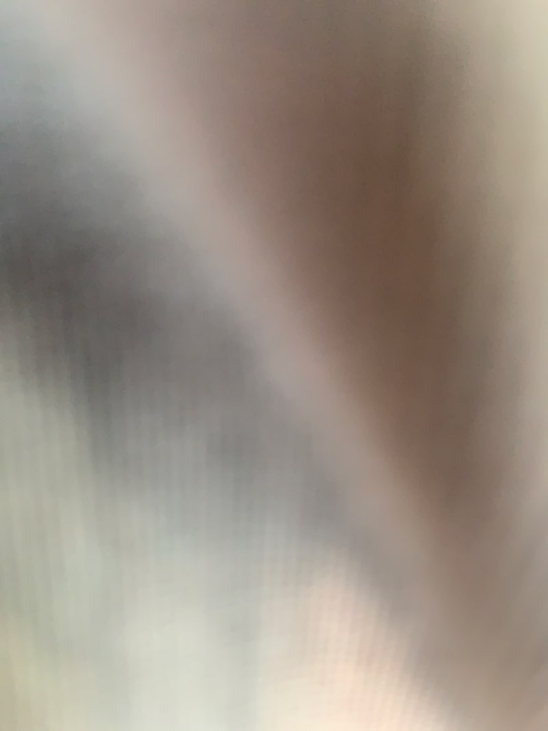 walking near me in Askari Park in spring