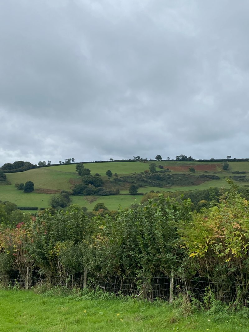 walking near me in Bincomb Beeches in winter