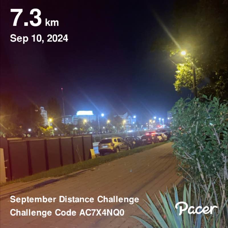 Picioroagă Larisa post 1