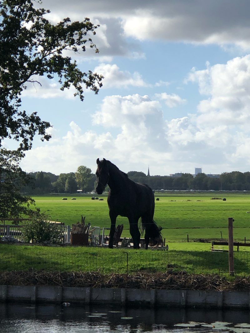walking near me in Burgemeester Hoekstrapark in winter
