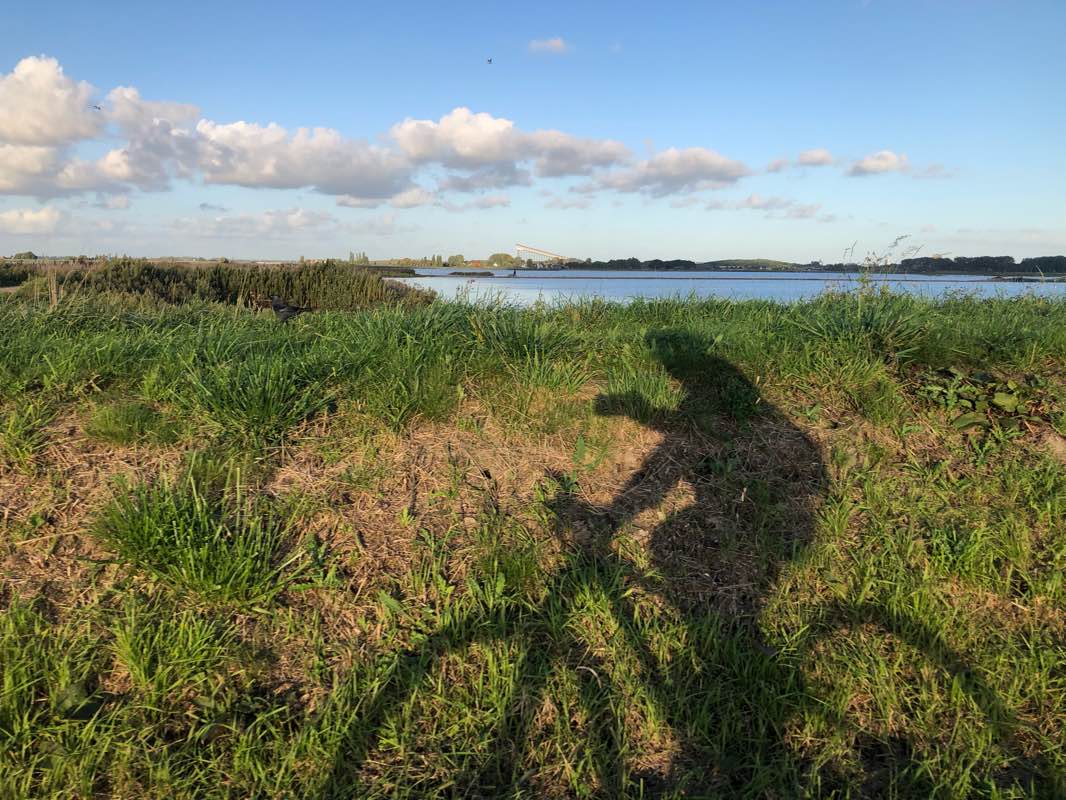 walking near me in Buytenpark in winter