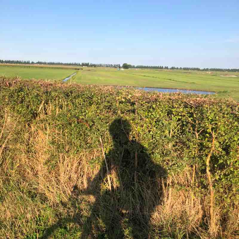 Shariman Alwani post 3