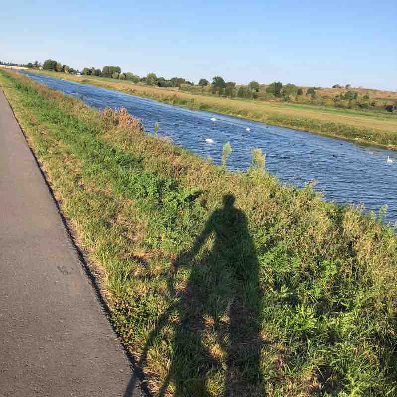 Shariman Alwani post 2