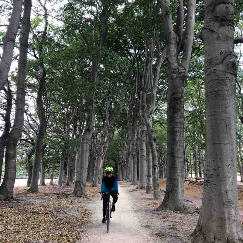 Shariman Alwani post 3