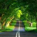 晃悠的“书袋子” icon