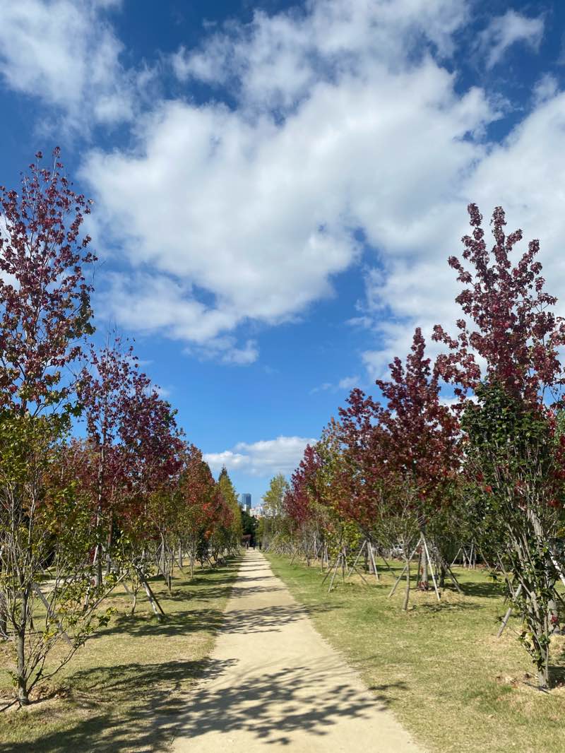 walking near me in 평화공원 in winter