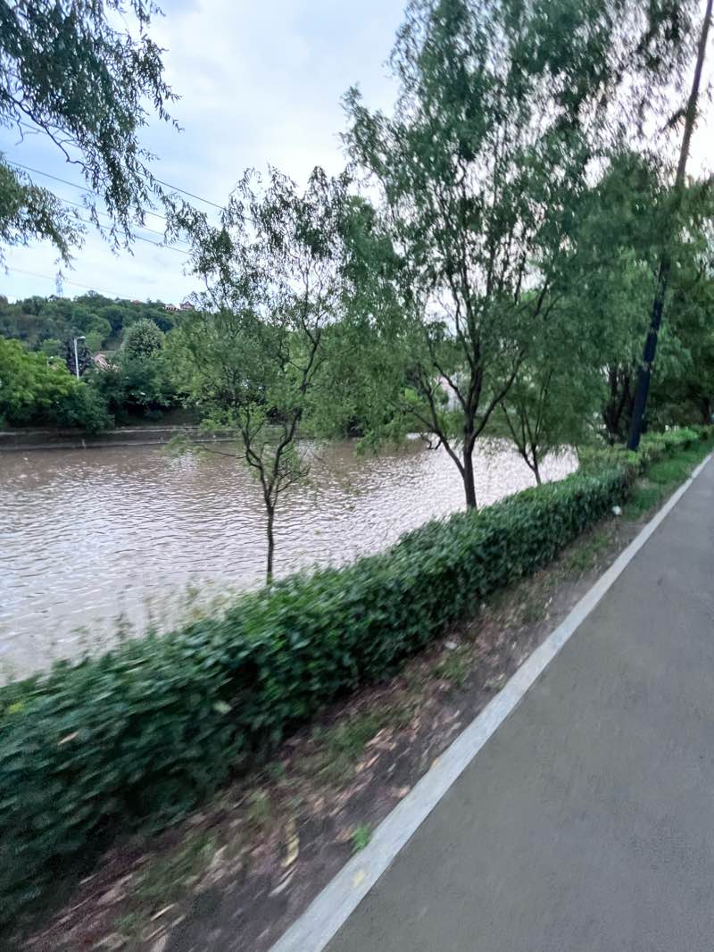 walking near me in Iuliu Haţieganu University Sports Park in winter