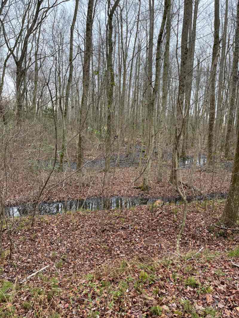 walking near me in Elk Township Recreational Park in winter