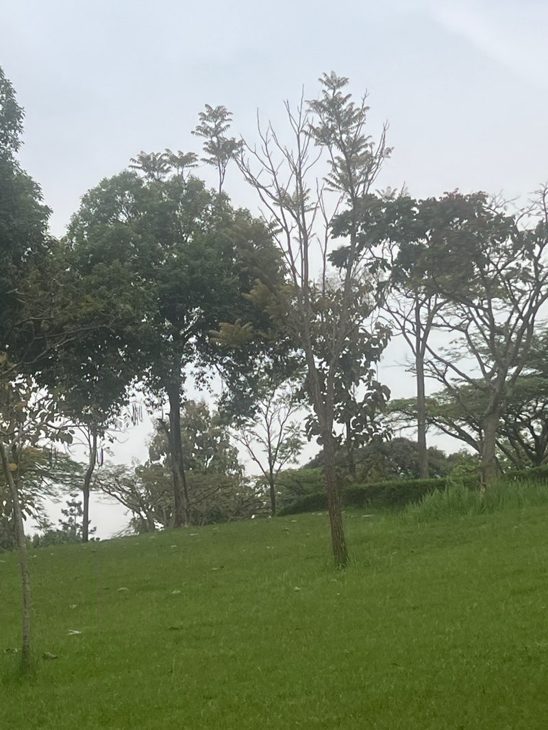 walking near me in Bahai in winter