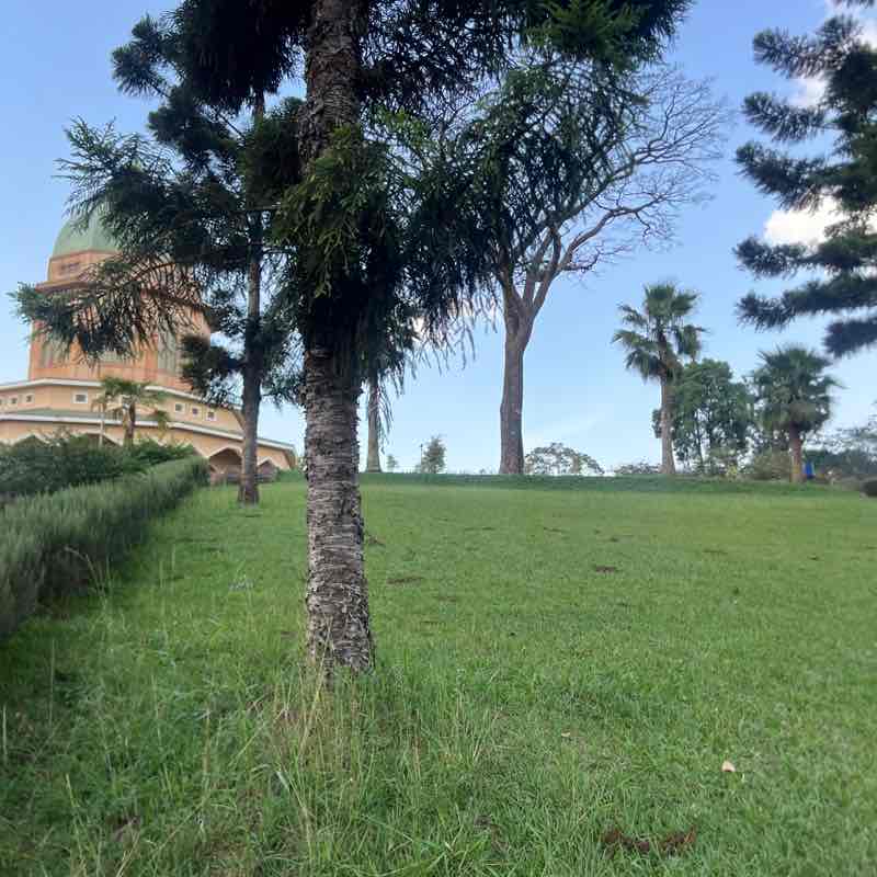 Kiggundu post 2