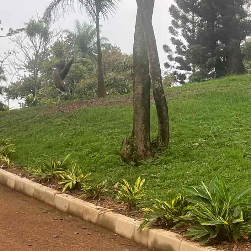 Kiggundu post 1