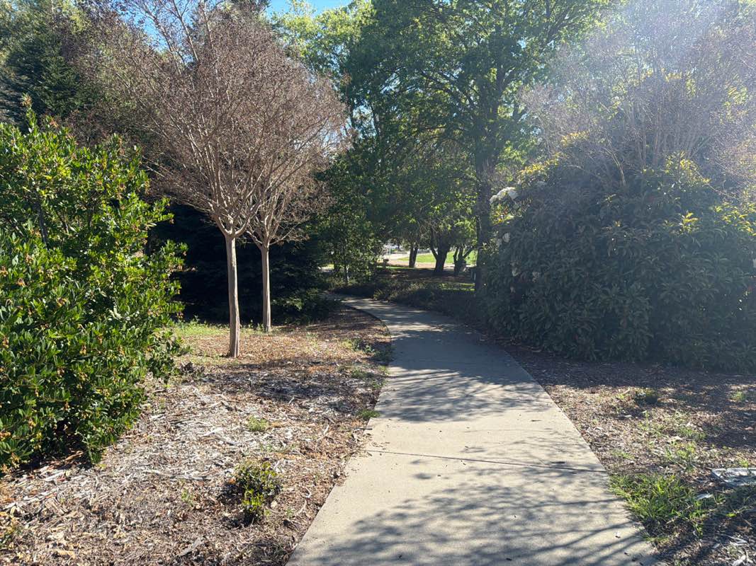 walking near me in Tice Valley Park in spring
