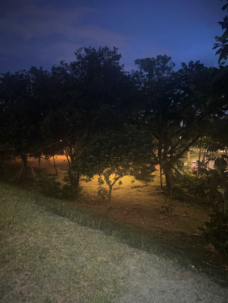 walking near me in Dahlia Park in autumn