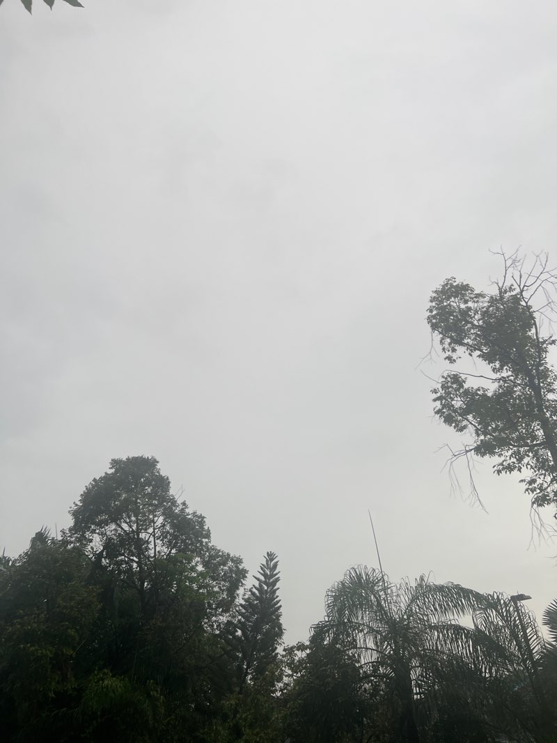 walking near me in Dahlia Park in winter