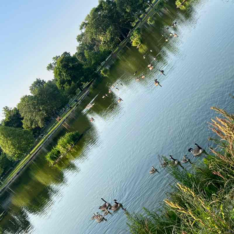 Lupita Alcala post 1