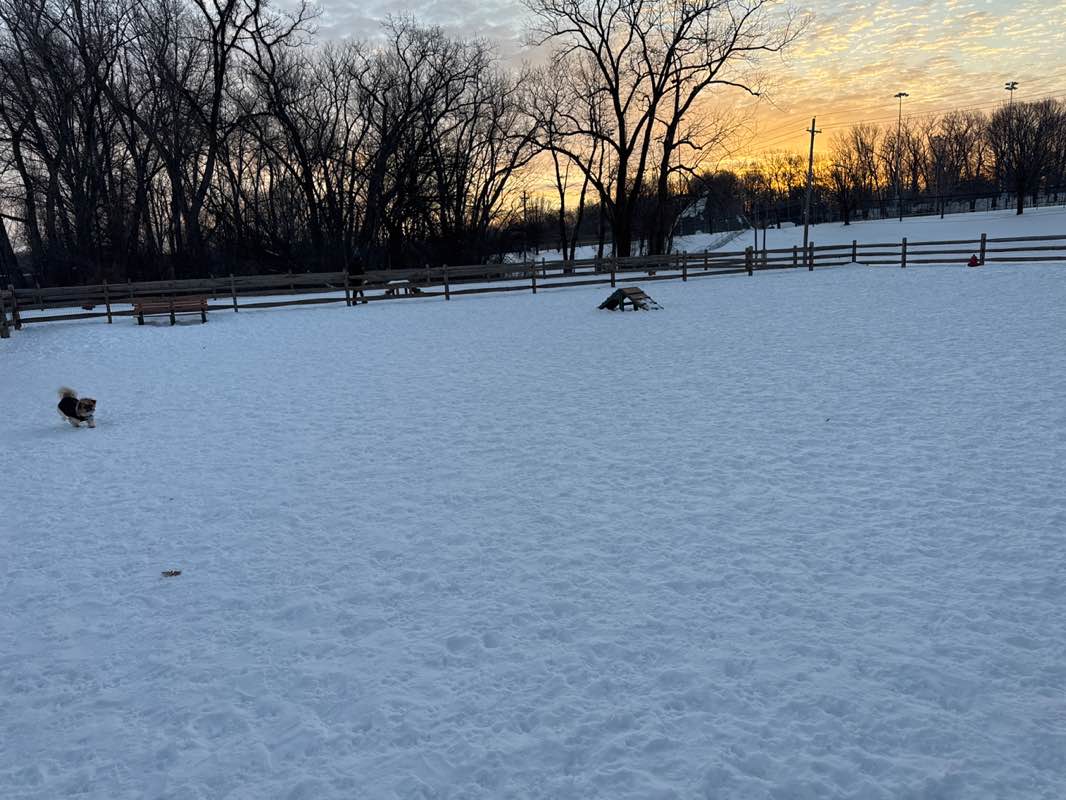walking near me in Quarry Park in winter