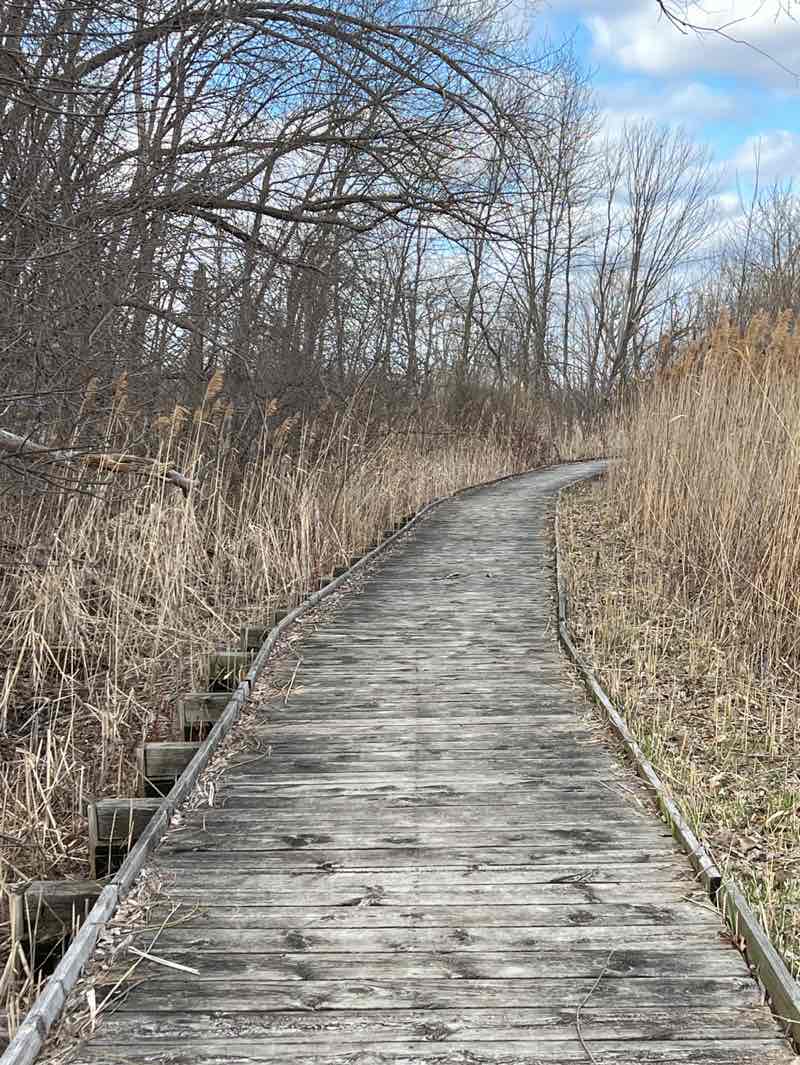walking near me in Wietor Wharf Park in spring