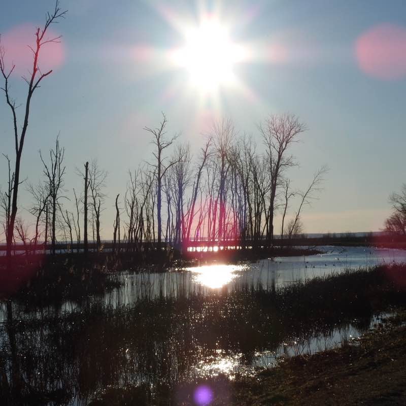 Bird Nerds 🐦‍⬛ Vosher1977 post image