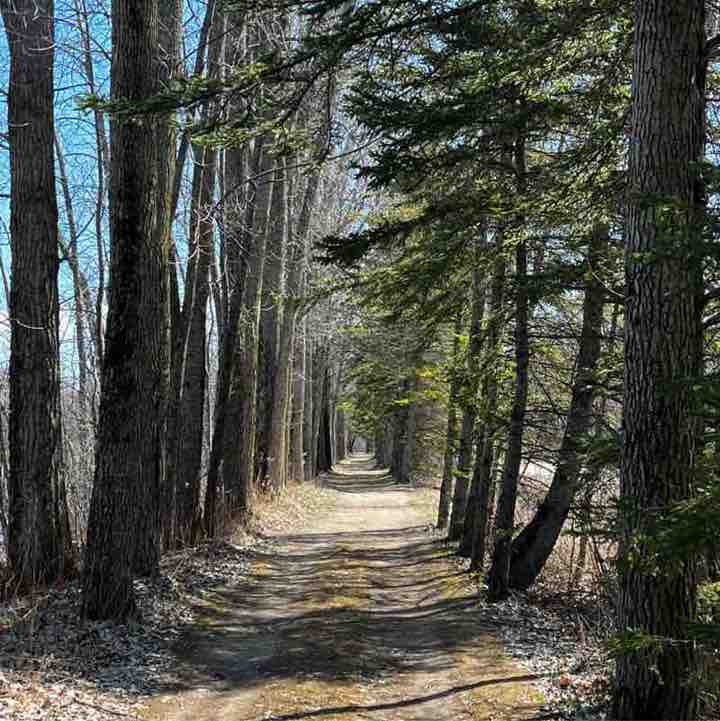 Bird Nerds 🐦‍⬛ Vosher1977 post image