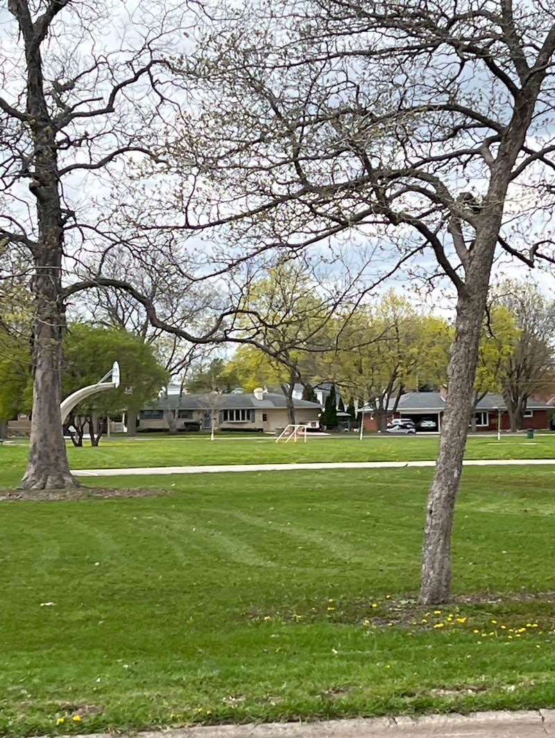 walking near me in Mather Heights Park in spring