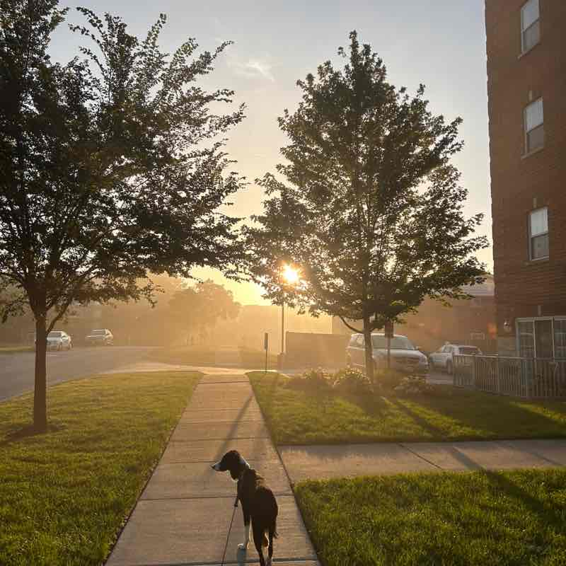 FIRST Insurance Funding Sue De Witt post image