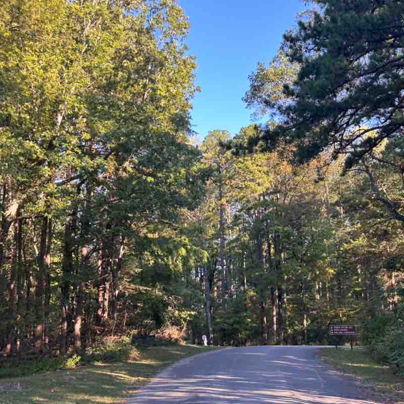 FIRST Insurance Funding Sue De Witt post image