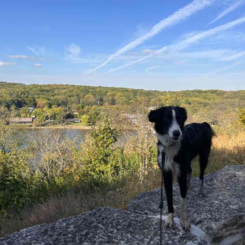 FIRST Insurance Funding FIRST Insurance Funding post image