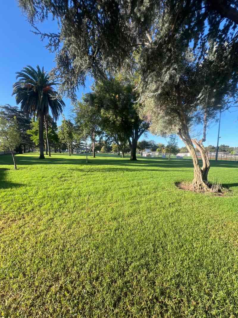 walking near me in Olivedale Park in autumn