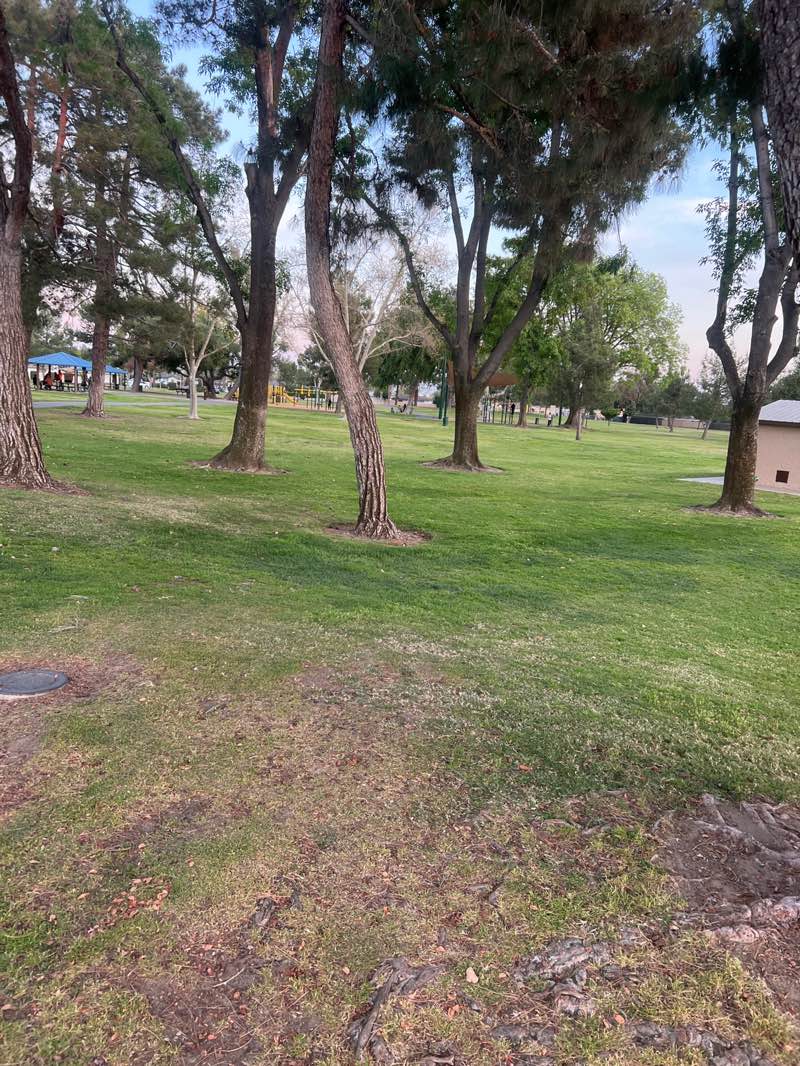 walking near me in Vineyard Park in spring