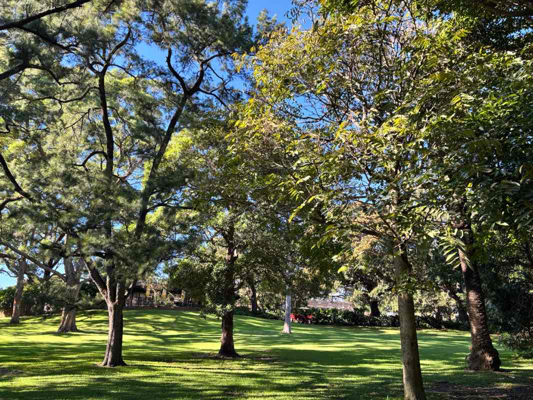 walking near me in Domain Yurong Precinct in autumn