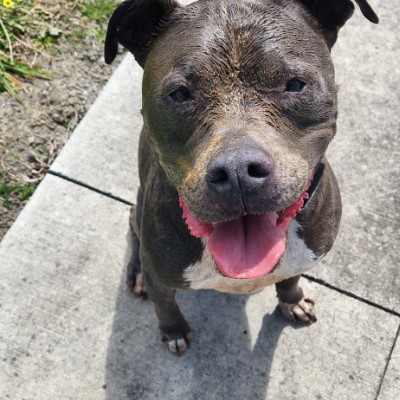 J4ynie@gmail.com post 1