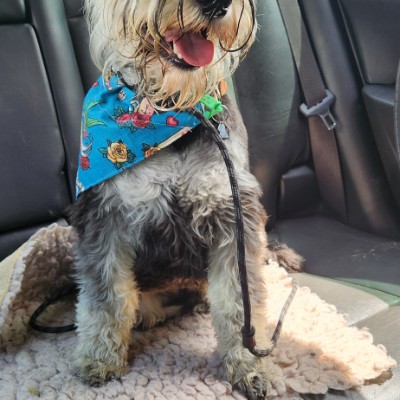 J4ynie@gmail.com post 1