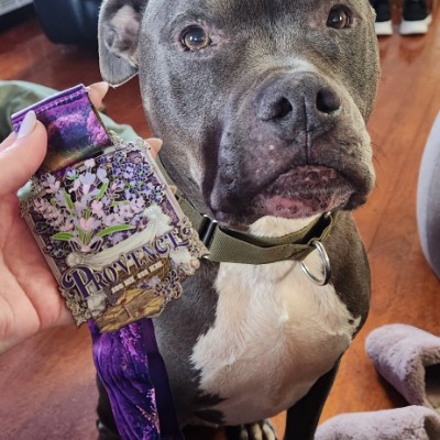 J4ynie@gmail.com post 1