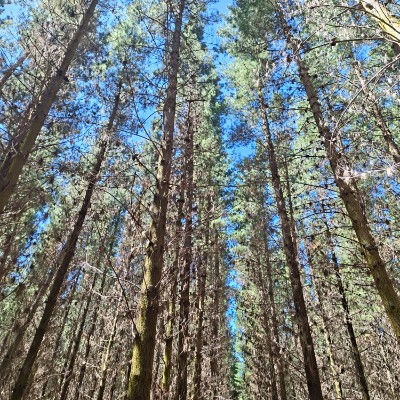 Justice League Chez post image