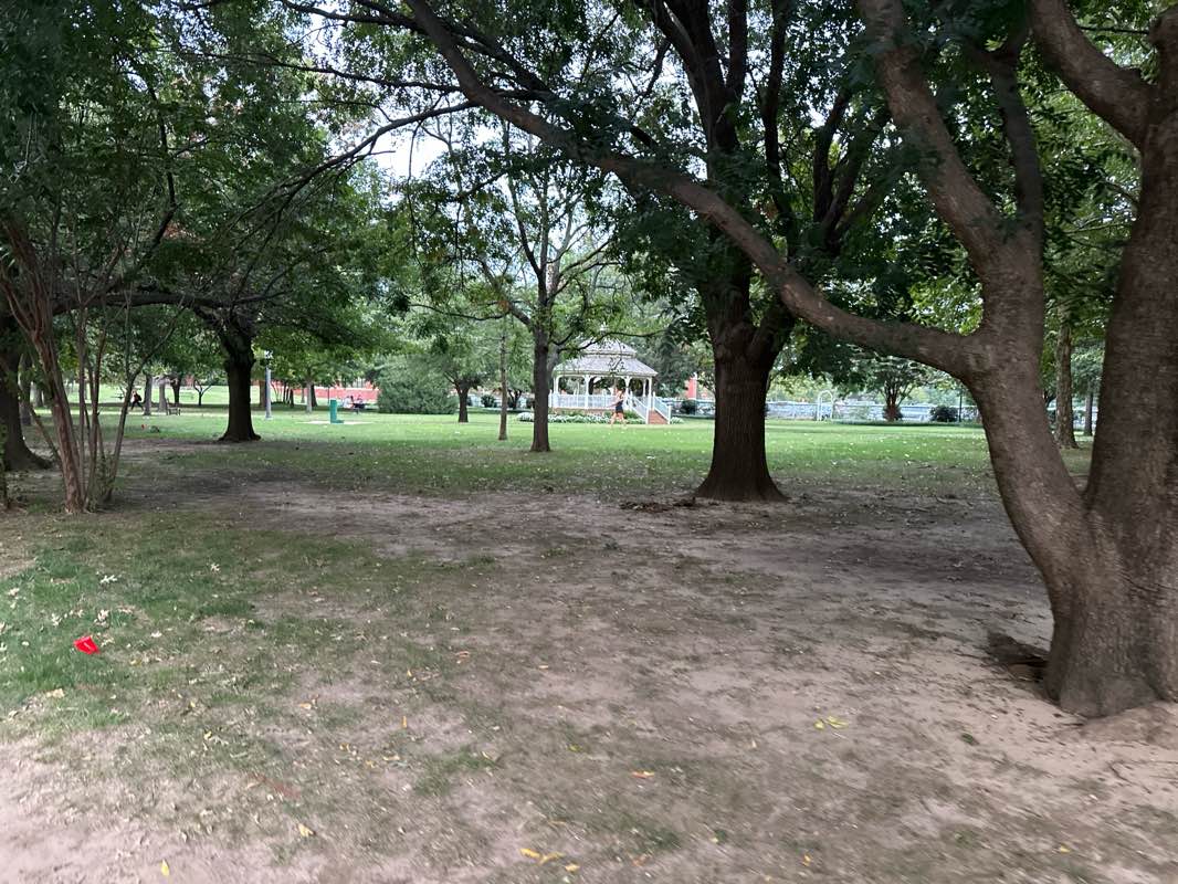 walking near me in Reaves Park in autumn