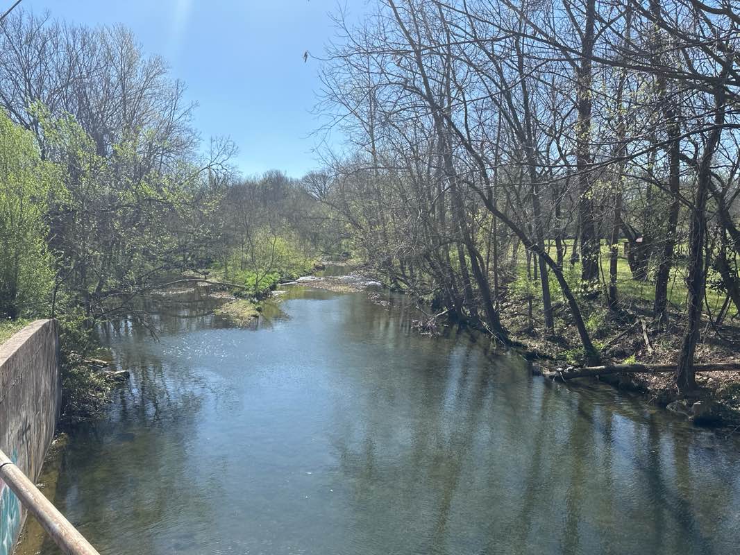 walking near me in Bob Henry Park in spring