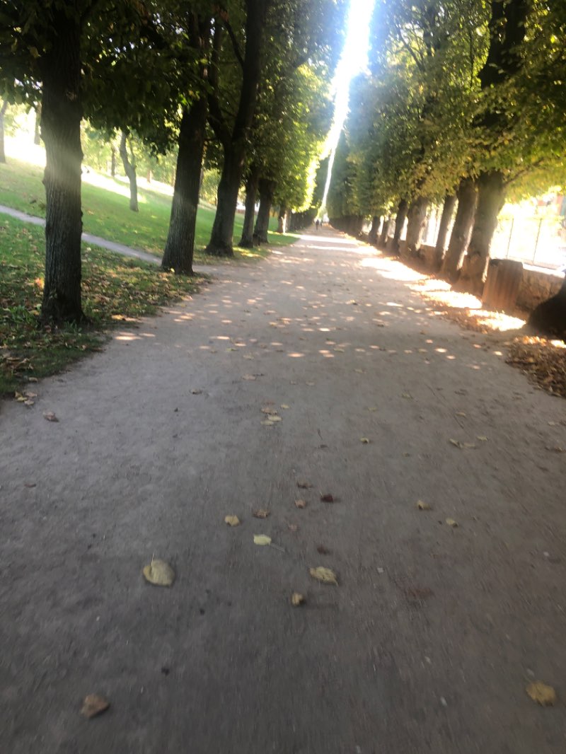 walking near me in Parc départemental du Petit Leroy in winter