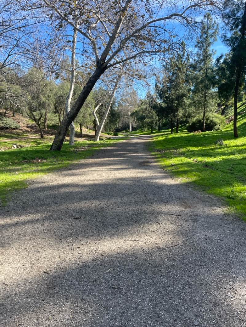 walking near me in Mission Verde Park in winter