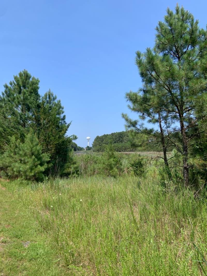 walking near me in Delaware Seashore State Park Fresh Pond in summer