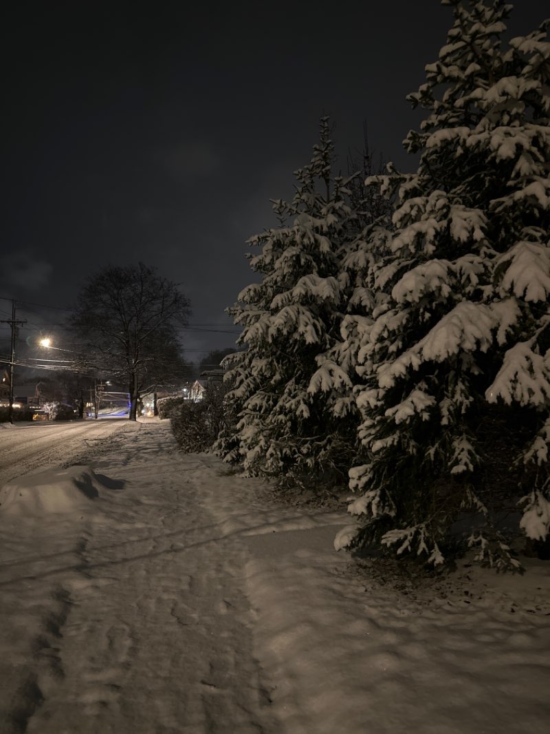 walking near me in Elmwood Park in winter