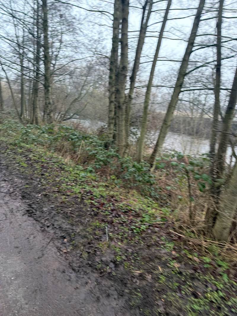 walking near me in Alvaston Park in winter