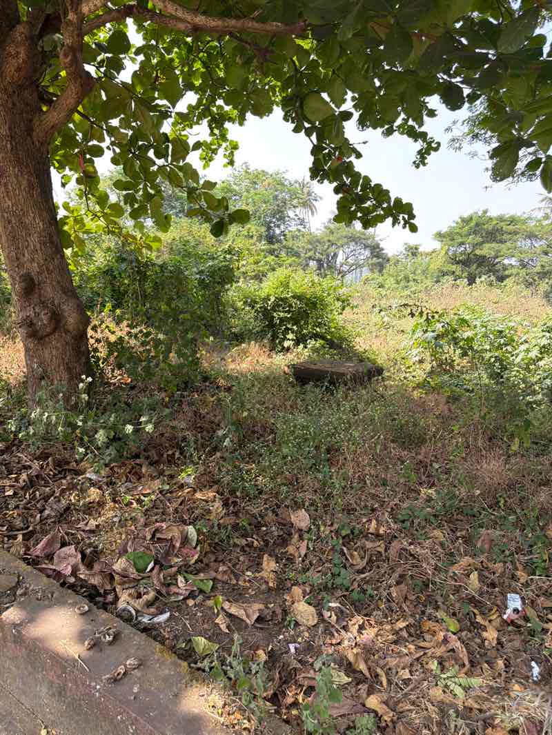 walking near me in Caranzalem Children's park in winter