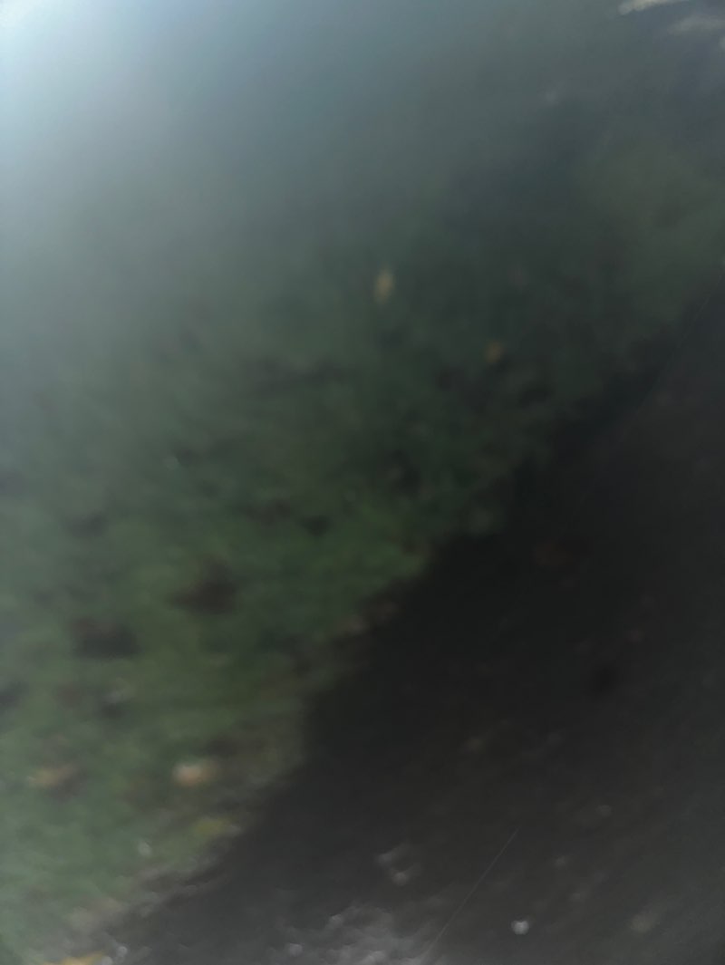 walking near me in Alvaston Park in winter