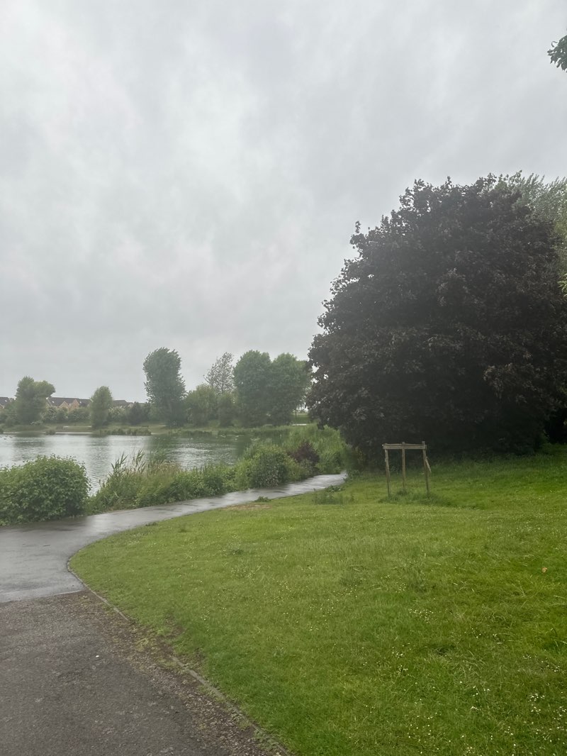walking near me in Alvaston Park in summer