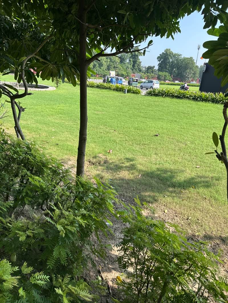 walking near me in statue circle park in autumn