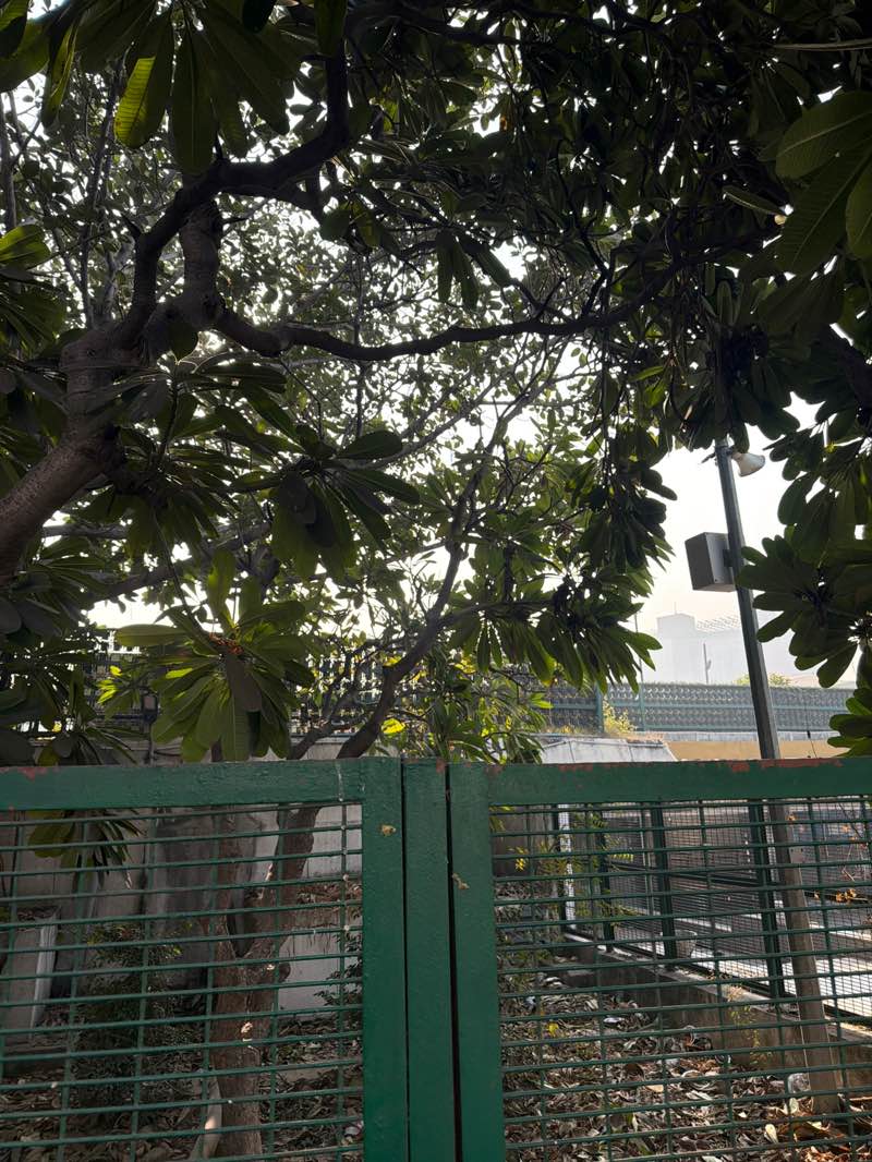 walking near me in Palika Parking in winter