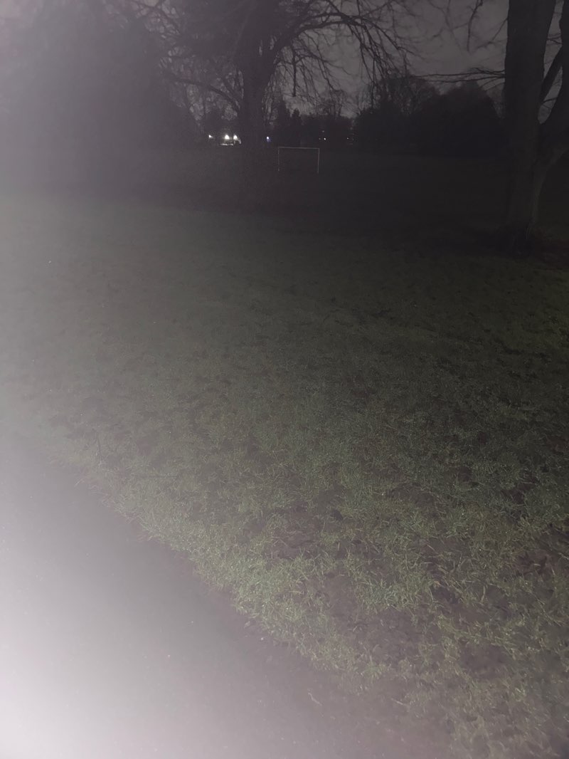 walking near me in Alvaston Park in winter