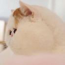 Nana-Mengヾ👑🎀