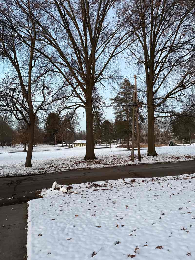 walking near me in Edgewood Park in winter