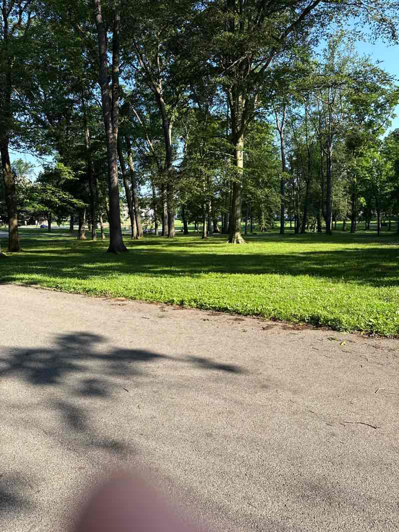 walking near me in Tuscora Park in summer